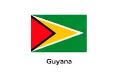 Home guyanaflag