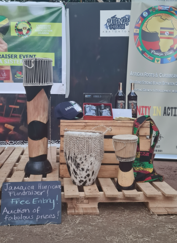 Home nano studio batch 6